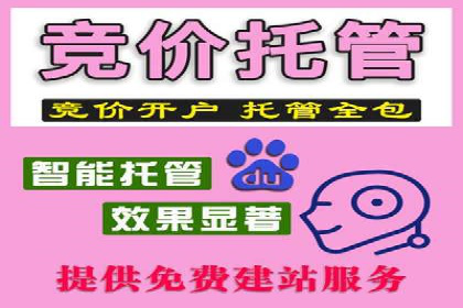 SEM推广案例：竞价代运营助力企业快速崛起